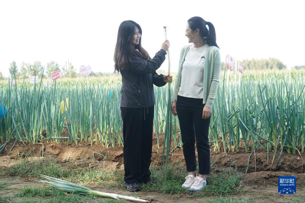 扑鱼达人游戏在线玩